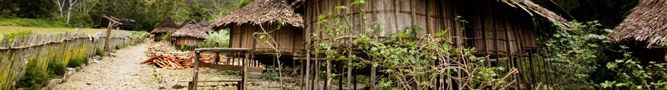 Learn Pidgin (Papua New Guinea)