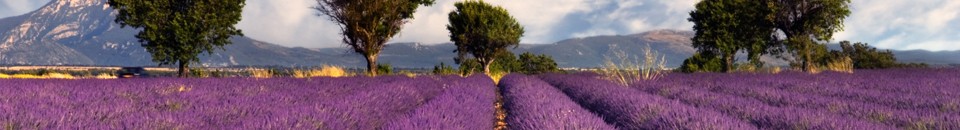 Aprender Provençal