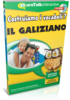 Vocabulary Builder Galiziano